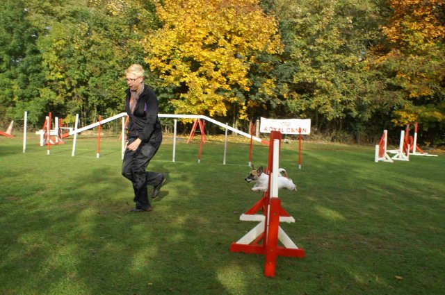 agility 2011-10-30